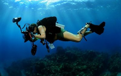 Que savoir sur la photographie sous-marine?